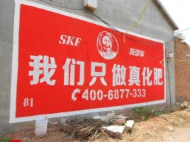 桃园刷墙广告”蕴含了时代命题