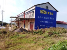 桃园必须知道的墙体广告形势