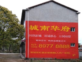 桃园百分之90的人都不了解的农村墙体广告
