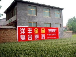 桃园如何让墙体广告展现最大化效果