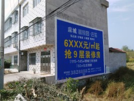 桃园墙体广告质量分析