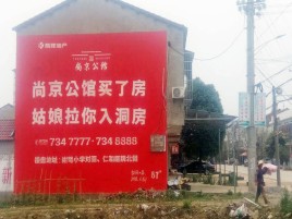 桃园墙体广告在乡镇、农村市场的媒体优势