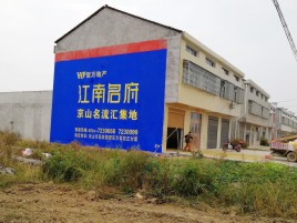 桃园农村墙体广告在不同形式上面展现的不同特色