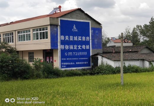 桃园决定墙体广告价格的因素有哪些？