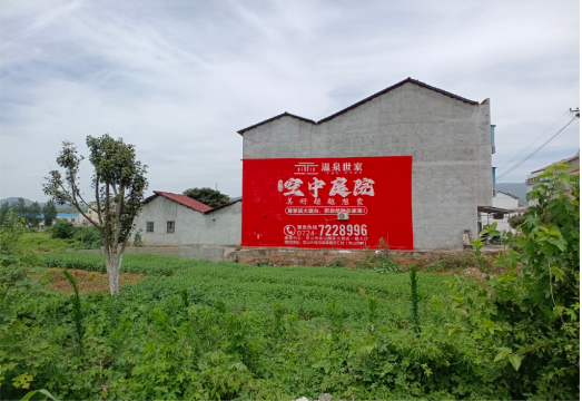 桃园做墙体广告的意义
